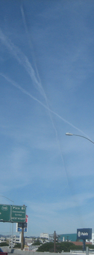 Photo #5 cropped only, no adjustments